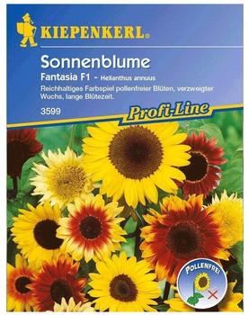 Kiepenkerl Sonnenblume Fantasia Mix