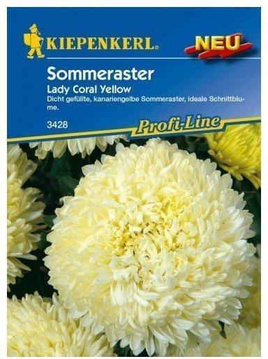 Kiepenkerl Sommeraster Lady Coral Yellow
