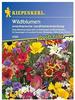 Kiepenkerl 4586 Wildblumen Amerikanische Landblumenmischung (Wildblumensamen)