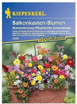 Kiepenkerl Balkonkasten-Blumenmischung "Pflegeleichte Sonnenkinder"