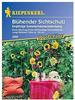 Kiepenkerl Blühender Sichtschutz Einjährige Sommerblumenmischung