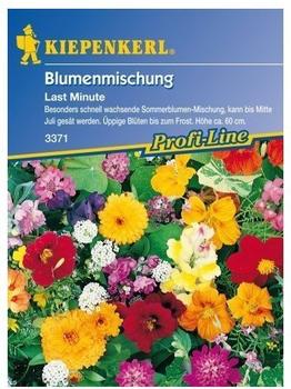 Kiepenkerl Blumenmischung "Last Minute"