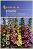 Sperli Blumensamen Fingerhut Excelsior-Hybriden, grün