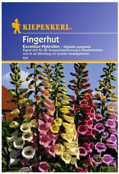 Kiepenkerl Fingerhut "Excelsior-Hybriden"