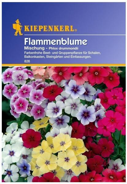 Kiepenkerl Flammenblume-Mischung