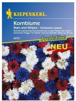 Kiepenkerl Kornblume "Stars and Stripes"
