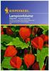 Sperli Blumensamen Lampionblume Physalis Gigantea, grün