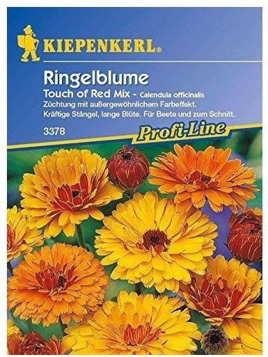 Kiepenkerl Ringelblume 