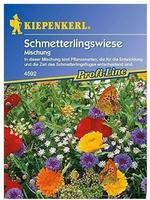 Kiepenkerl Schmetterlingswiese
