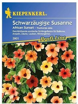 Kiepenkerl Schwarzäugige Susanne "African Sunset"