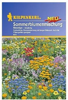 Kiepenkerl Sommerblumen-Mischung