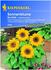 Kiepenkerl Sonnenblume
