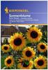 Sonnenblume, 'Helianthus Hohe Riesen'