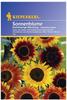 Sonnenblumen, 'Helianthus kleinblumige'