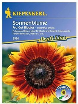 Kiepenkerl Sonnenblume "Pro Cut Bicolor"
