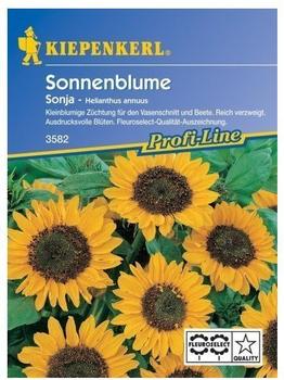 Kiepenkerl Sonnenblume "Sonja"