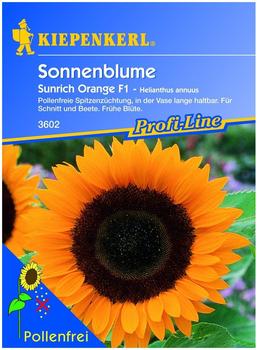 Kiepenkerl Sonnenblume "Sunrich Orange" F1