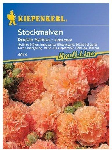 Kiepenkerl Stockrose 