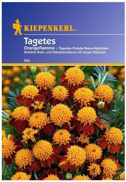 Kiepenkerl Tagetes 