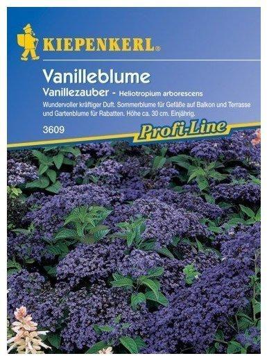 Kiepenkerl Vanilleblume 