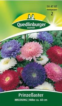 Quedlinburger Saatgut Prinzeß-Aster Mischung