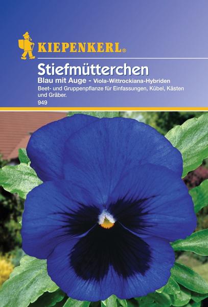 Kiepenkerl Stiefmütterchen Viola blau mit Auge