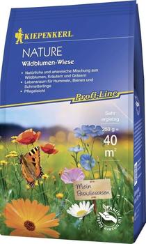 Kiepenkerl Profi-Line Nature Wildblumen-Wiese 250 g