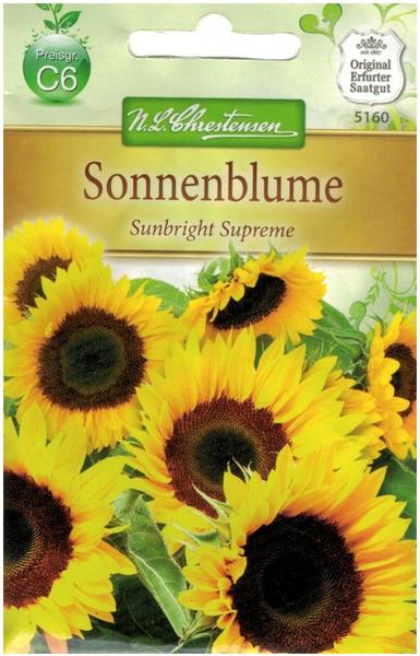 Chrestensen Sonnenblume Sunbright Supreme