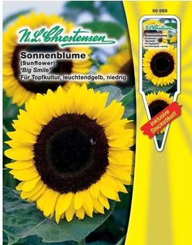 Chrestensen Sonnenblume Big Smile