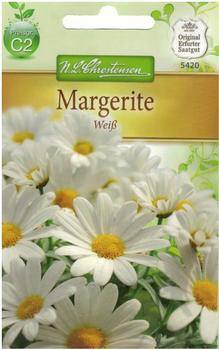 Chrestensen Margerite weiß