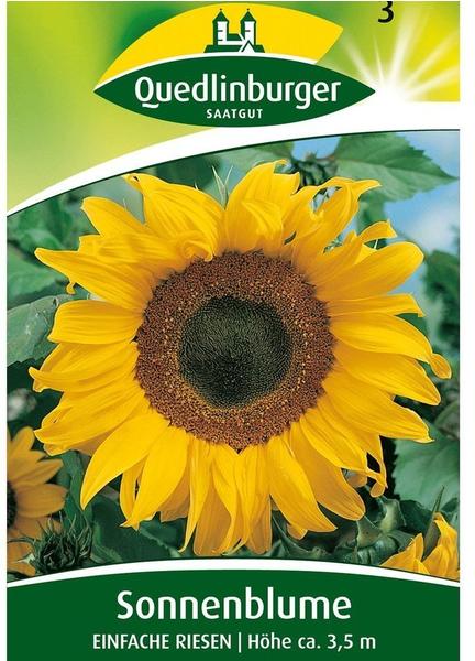 Quedlinburger Saatgut Sonnenblume 'Einfache Riesen'