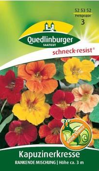 Quedlinburger Saatgut Kapuzinerkresse 'Rankende Mischung'