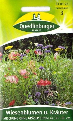 Quedlinburger Saatgut Wiesenblumen und Kräuter-Mischung