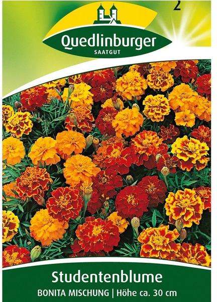 Quedlinburger Saatgut Studentenblume 'Bonita Mischung'