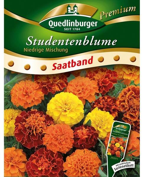 Quedlinburger Saatgut Studentenblume niedrige Mischung