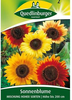 Quedlinburger Saatgut Sonnenblume 'Hohe Sorten Mischung'
