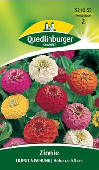 Quedlinburger Saatgut Zinnie 'Lilliput' Mischung