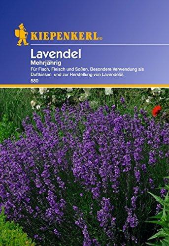 Kiepenkerl Lavendel