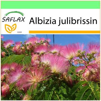 Saflax Garden to Go 'Schlafbaum' Anzucht-Set