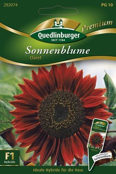 Quedlinburger Saatgut Sonnenblume Claret