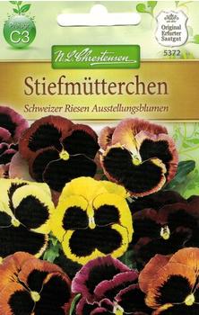 Chrestensen Stiefmütterchen Schweizer Riesen Ausstellungsblumen