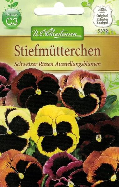 Chrestensen Stiefmütterchen Schweizer Riesen Ausstellungsblumen