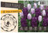 Chrestensen Tulpen und Hyazinthen Deep Purple Mischung