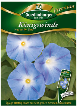 Quedlinburger Saatgut Königswinde Heavenly Blue Blau