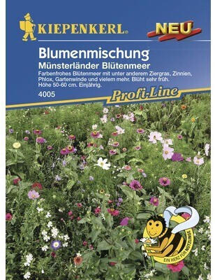 Kiepenkerl Blumenmischung Münsterländer Blütenmeer