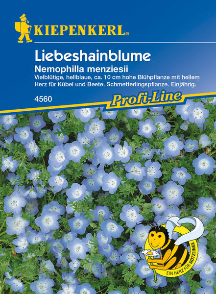 Kiepenkerl Liebeshainblume