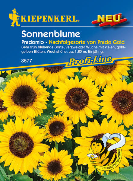 Kiepenkerl Sonnenblume Pradomio