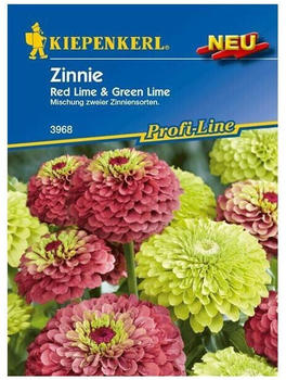 Kiepenkerl Zinnie Red Lime + Green Lime