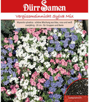Dürr-Sa­men Vergissmeinnicht Sylva Mix Zartrosa/Lavendel/Weiß