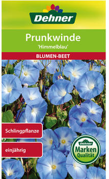 Dehner Prunkwinde Himmelblau, Hellblau